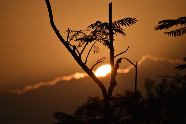 Hình ảnh minh họa ý nghĩa của từ arising