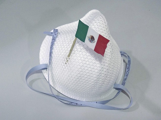 Hình ảnh minh họa ý nghĩa của từ arm covering