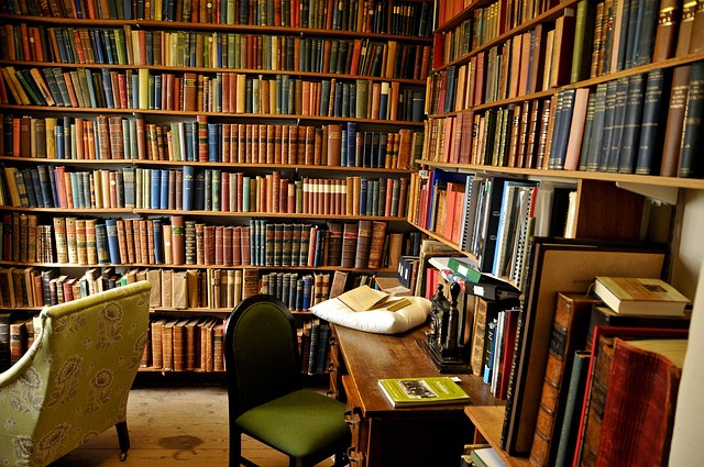 Hình ảnh minh họa ý nghĩa của từ armchair research