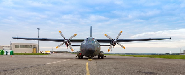 armed forces capability