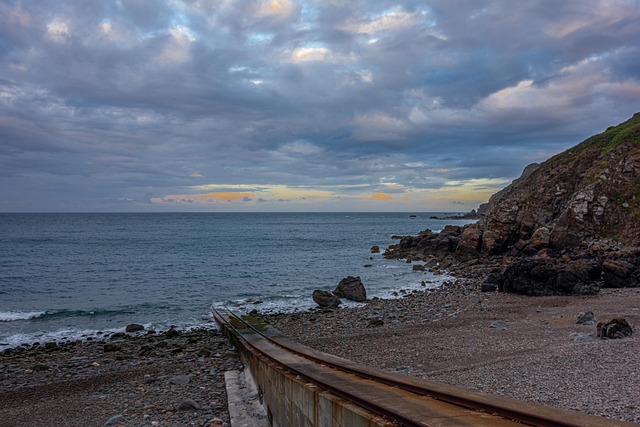 Hình ảnh minh họa ý nghĩa của từ arrived