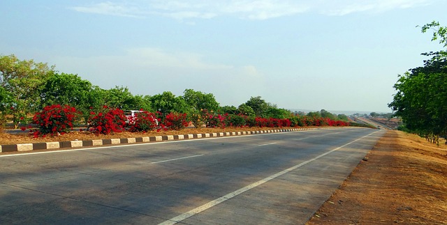 arterial road