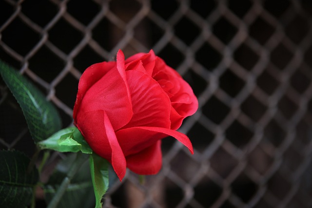 Hình ảnh minh họa ý nghĩa của từ artificiality