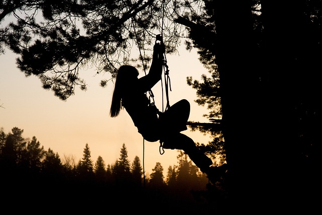 Hình ảnh minh họa ý nghĩa của từ ascender