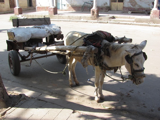 asmara