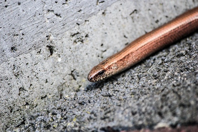 Hình ảnh minh họa ý nghĩa của từ asphalt