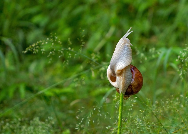 Hình ảnh minh họa ý nghĩa của từ aspiring