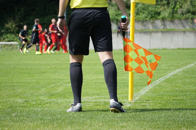 Hình ảnh minh họa ý nghĩa của từ assistant referee
