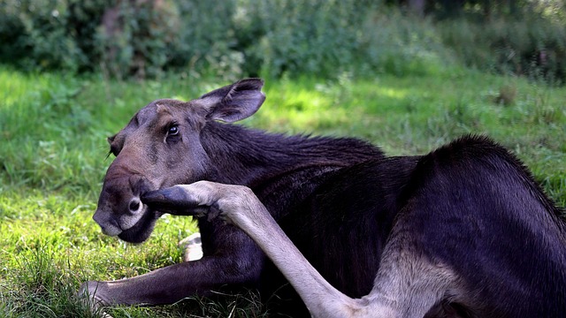 Hình ảnh minh họa ý nghĩa của từ astonishing