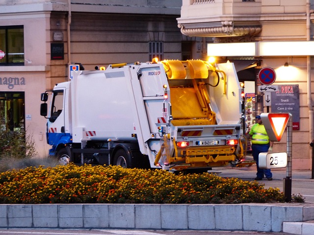 at the disposal of