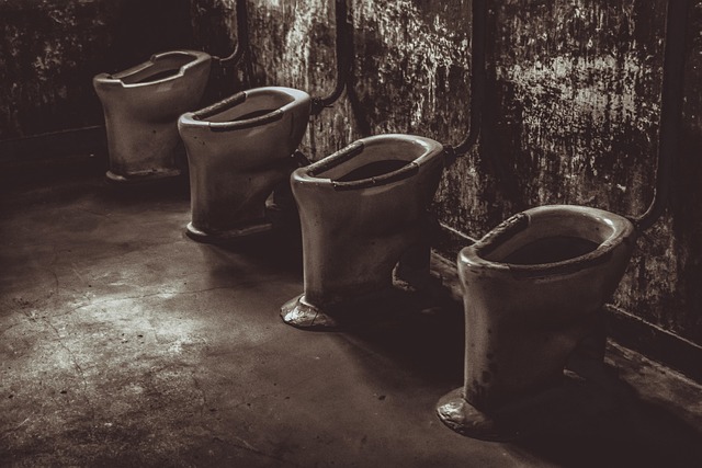 Hình ảnh minh họa ý nghĩa của từ atrocity