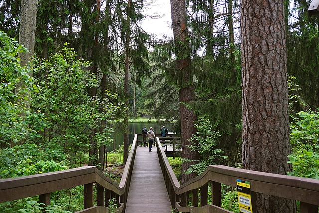 Hình ảnh minh họa ý nghĩa của từ attendant parking