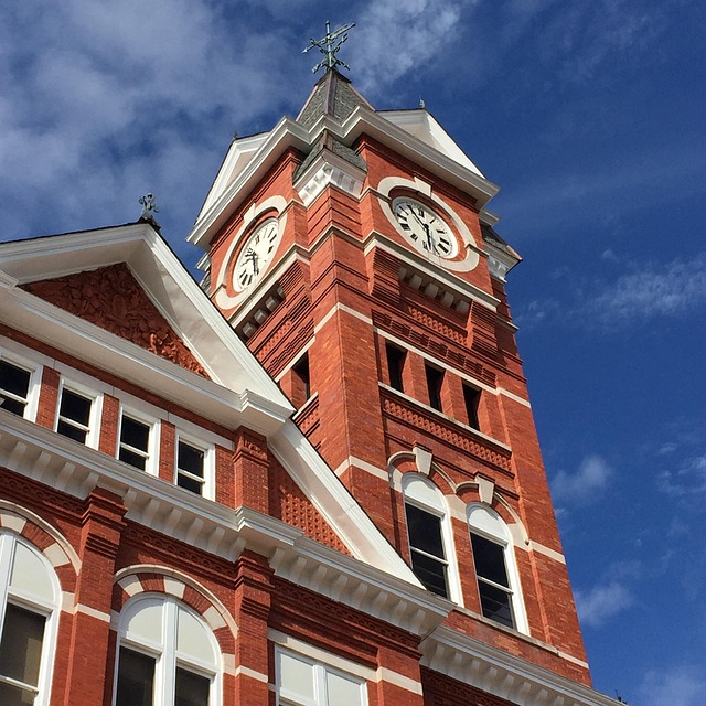 Hình ảnh minh họa ý nghĩa của từ auburn