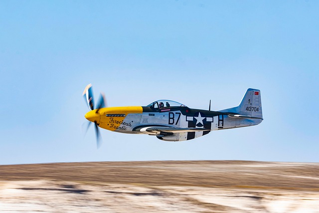 aviation force