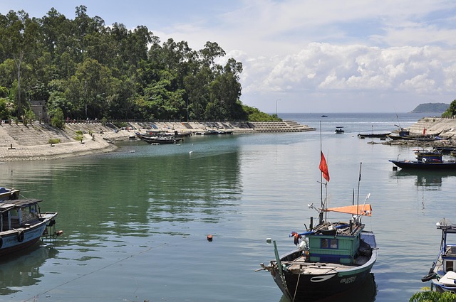 Hình ảnh minh họa ý nghĩa của từ avoiding