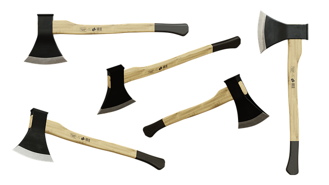 Hình ảnh minh họa ý nghĩa của từ axe