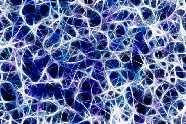 axillary nerve