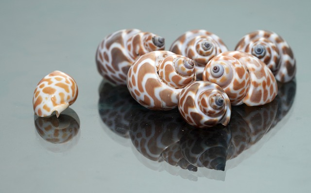 Hình ảnh minh họa ý nghĩa của từ babylonia