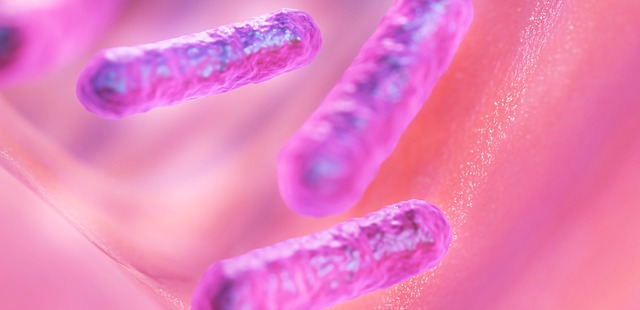 Hình ảnh minh họa ý nghĩa của từ bacillus thuringiensis