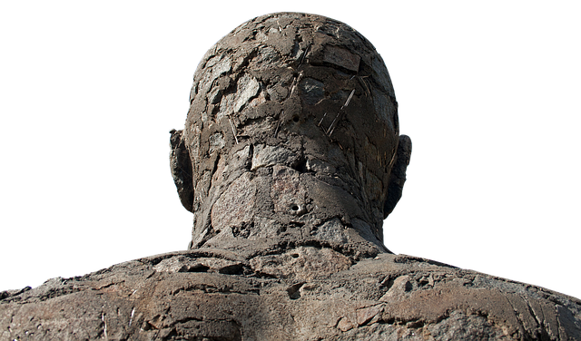 Hình ảnh minh họa ý nghĩa của từ back