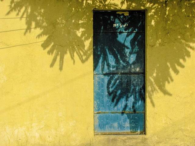 Hình ảnh minh họa ý nghĩa của từ back entrance