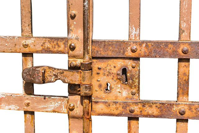 back gate