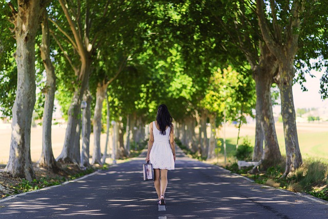 Hình minh họa voltar atrás