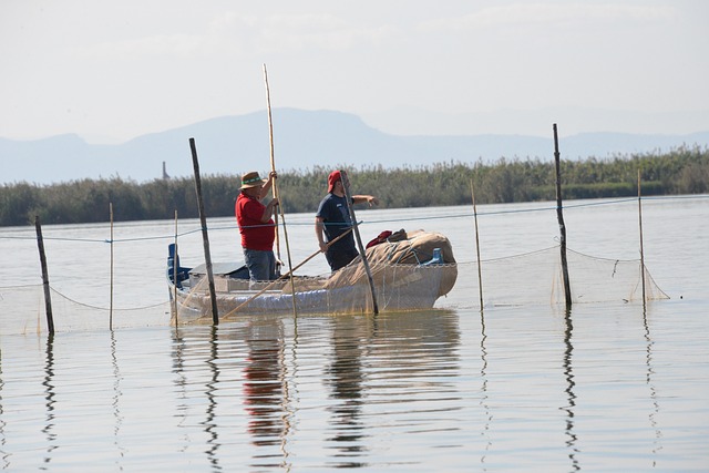 Hình ảnh minh họa ý nghĩa của từ backwards