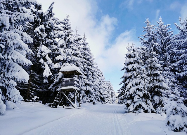 Hình ảnh minh họa ý nghĩa của từ bad run