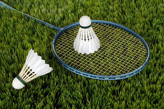 badminton net