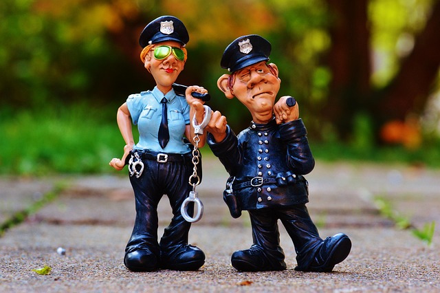 bail enforcement agent