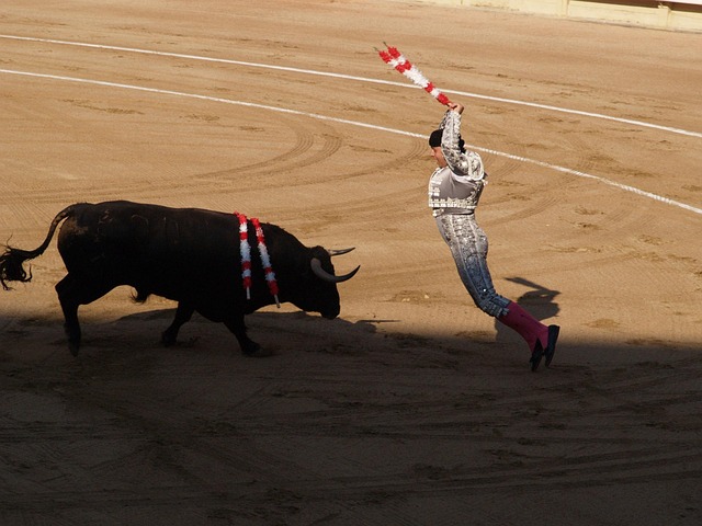 banderillero