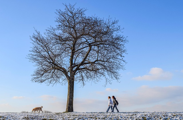 bare ground