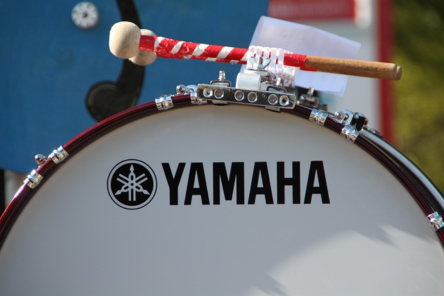 Hình ảnh minh họa ý nghĩa của từ bass drum