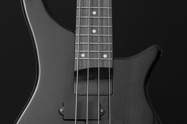 bass guitar