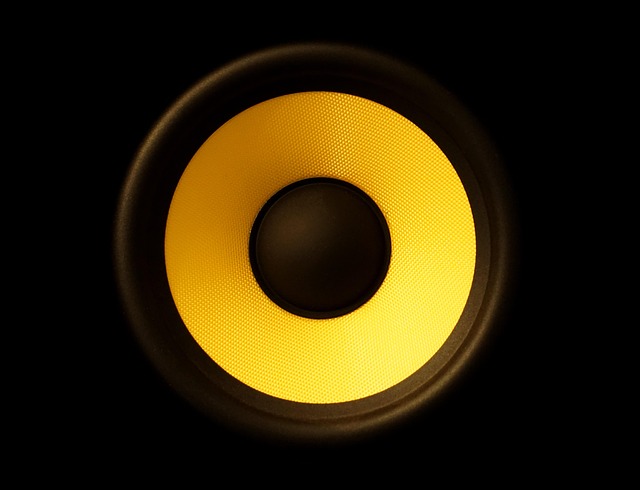 bass speaker