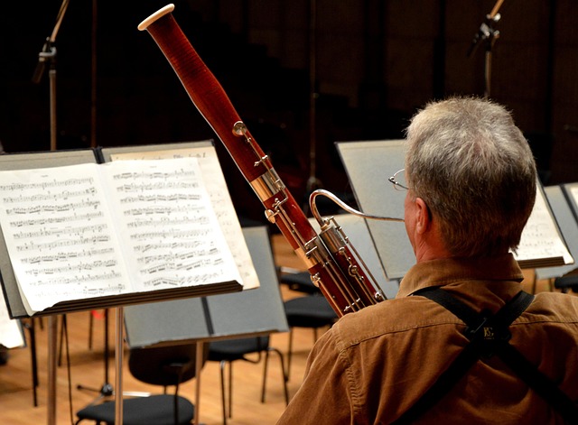 Hình ảnh minh họa ý nghĩa của từ bassoon