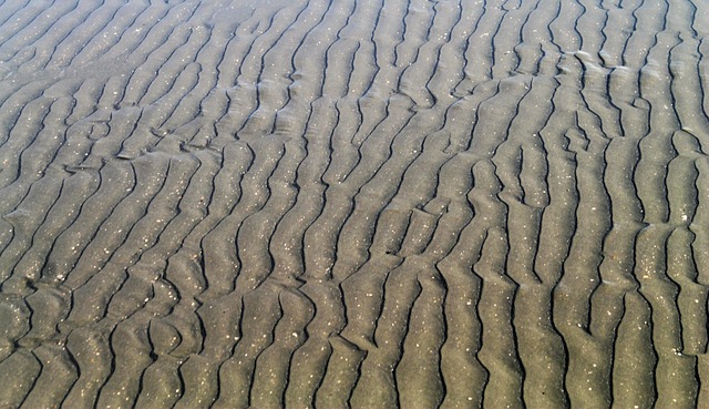 bay of bengal