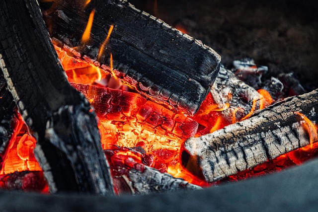 bbq