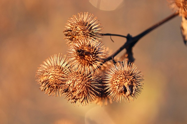 Hình ảnh minh họa ý nghĩa của từ be buoyed up