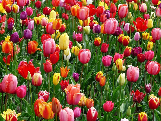 be joyful