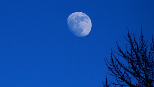 be over the moon