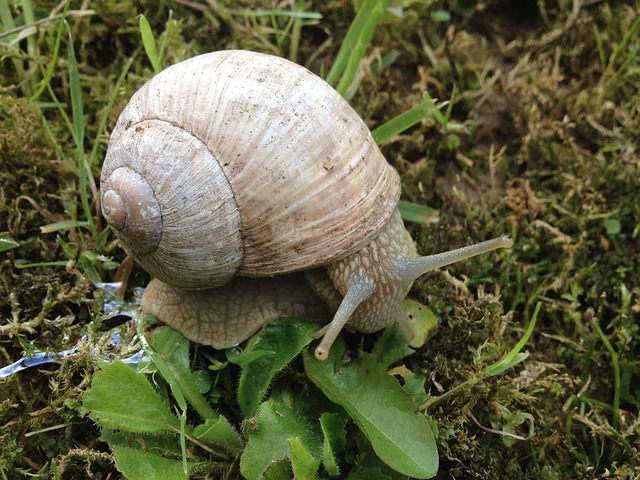 be slow