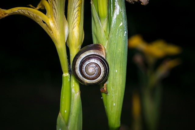 be swamped with