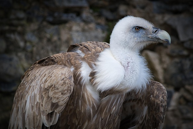 Hình ảnh minh họa ý nghĩa của từ be unconstrained