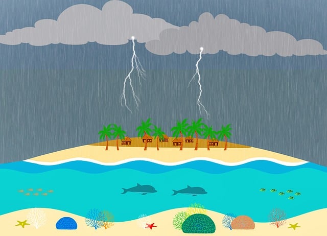 Hình ảnh minh họa ý nghĩa của từ beached whale