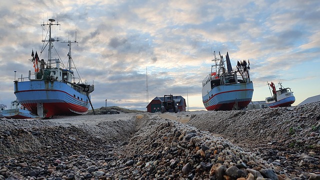 Hình ảnh minh họa ý nghĩa của từ beaching