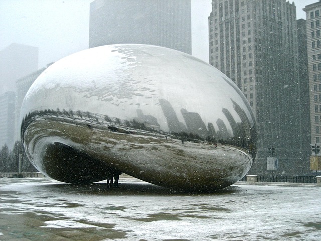 bean