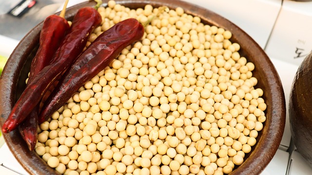 beans in sauce