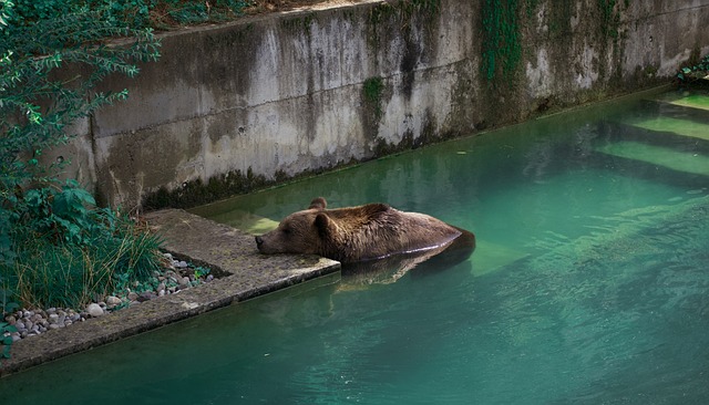 bear in mind